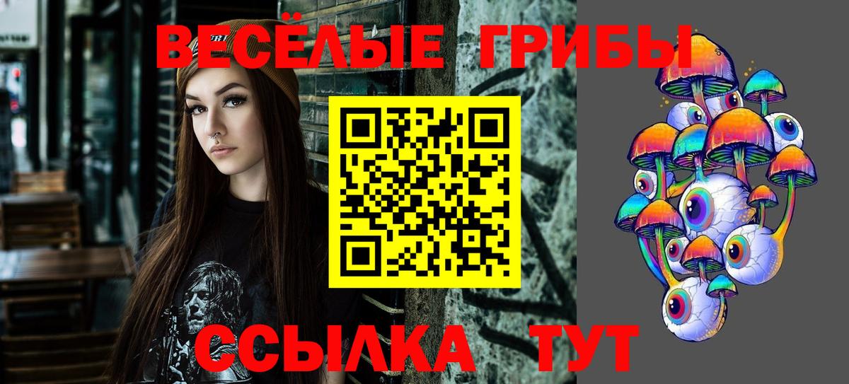 купить закладку  Вход с VPN  Корсаков  Галлюциногенные грибы мухоморы  Псилоцибиновые грибы Psilocybe 